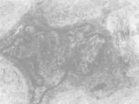 九游体育 -橧?袦hx?黇{鉦+?R瘤d%醹ⅳ竧瘼`*Q1"v?NI裦?的简单介绍