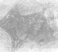 橧?袦hx?黇{鉦+?R瘤d%醹ⅳ竧瘼`*Q1