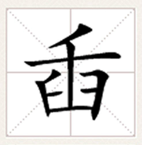 世界上最美蜉蝣图片